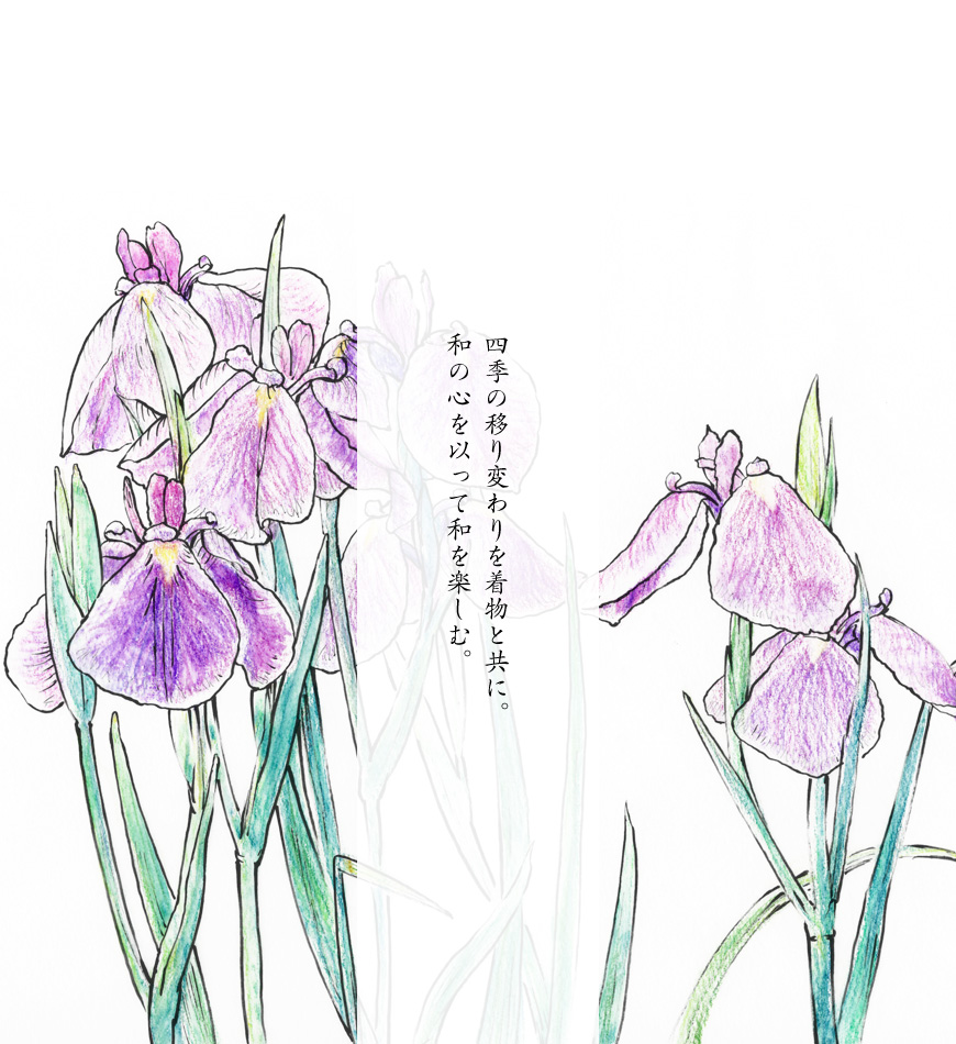 夏のイラスト